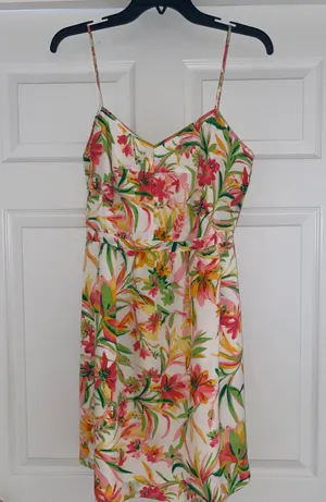 J.Crew Dress thumbnail 1