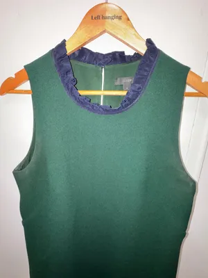 J.Crew Sleeveless Forest Green Shift Dress with Blue Ruffled Trim Size 8 thumbnail 5