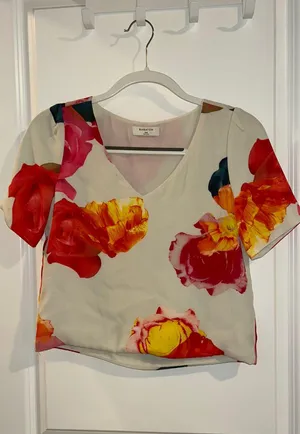 Babton Aritzia Top thumbnail 1
