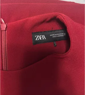 Zara Seamed Mini Dress thumbnail 4