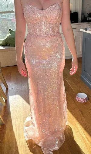 Prom / Formal Gown thumbnail 8
