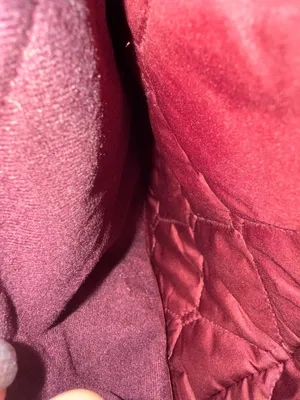 Eddie Bauer Women's Quilted Lightweight Zip-Up Jacket in Burgundy thumbnail 4