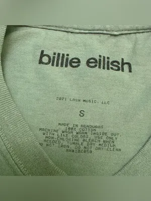 Billie Eilish Graphic Tee in Light Sage Green S thumbnail 3