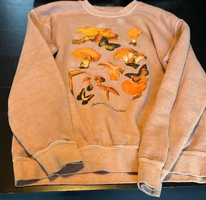 PacSun small sweatshirt with mushrooms. 🍄 GUC. Two bleached spots on front. thumbnail 1