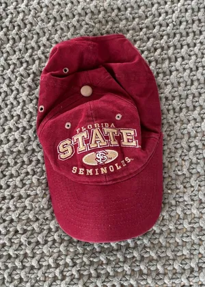 zephyr florida state FSU seminoles baseball hat thumbnail 1