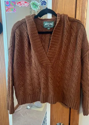 American Eagle Outfitters Hooded Sweater thumbnail 1