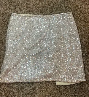 Audrey 3+1 Sequin Skirt thumbnail 3