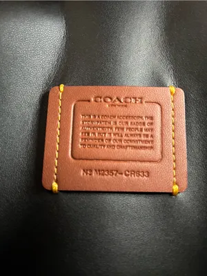 Coach Essential Small Leather Clutch Chain Crossbody Purse thumbnail 11