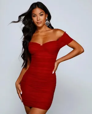 NWT Windsor Stunning Sweetheart Mesh Mini Dress | Size: Small thumbnail 1