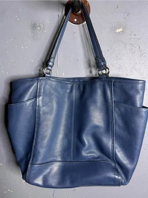 Coach Park Leather Carrie Blue Pebbled Leather Shoulder Tote. thumbnail 4