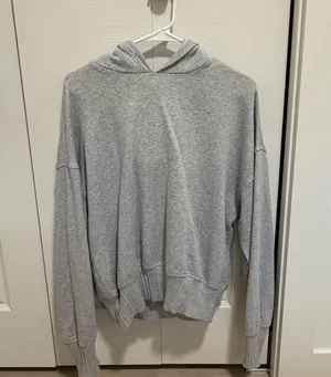 Aerie Grey Hoodie thumbnail 1
