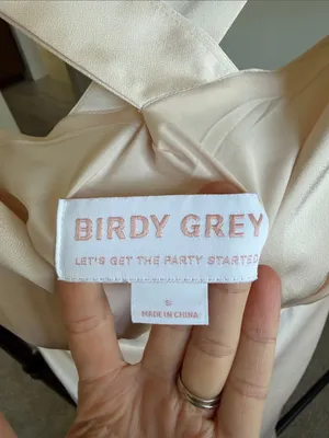 Birdy Grey Champagne Satin V-Neck Maxi Formal Bridesmaids Dress - Size Small thumbnail 6