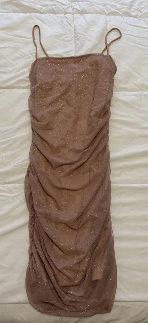 Windsor Sparkly Nude Dress thumbnail 1
