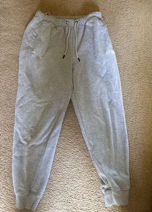 North Face Gray Sweatpants  thumbnail 1