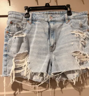 American Eagle Shorts thumbnail 1