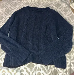 Navy Blue American Eagle Sweater thumbnail 1