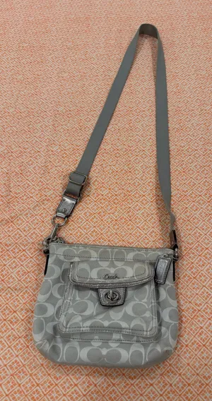 Y2K Coach Silver and Gray toggle crossbody  thumbnail 1