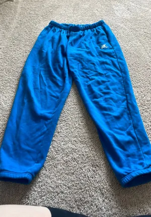 Blue champion sweatpants thumbnail 1