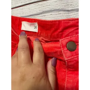 Gap Bright Corduroy Shorts Size 31 thumbnail 4
