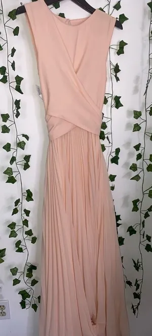 new size 4 womans light pink Fame and partners formal dress thumbnail 1