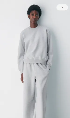 Aritzia Cozy Sweatfleece Boyfriend crewneck thumbnail 1