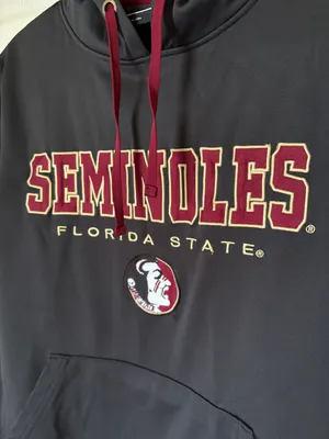 Colosseum Athletics FSU Seminoles Grey Embroidered Hoodie thumbnail 3
