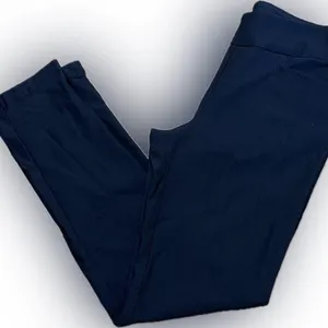 Navy Blue Willet Pants Size L thumbnail 1