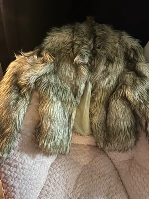 Gray & Brown Faux Fur Cropped Jacket 🤎✨ thumbnail 3