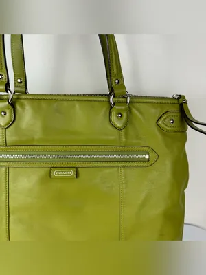 Coach Daisy Emma Green Leather Shoulder Bag Tote thumbnail 4