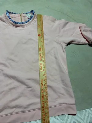J. Crew Pink Crewneck Sweatshirt with Blue Trim large thumbnail 8