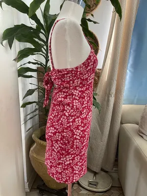 American Eagle Outfitters Red Floral Spaghetti-Strap Mini Dress thumbnail 2