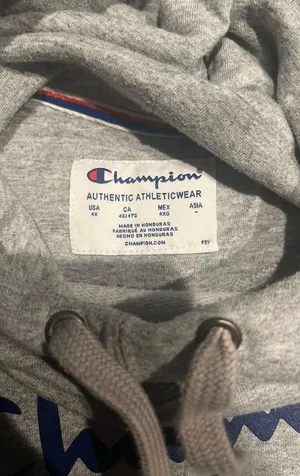 Champion Gray Hoodie thumbnail 2