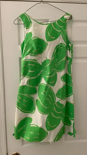 Lilly Pulitzer Green and White Floral Shift Dress with Pink Label thumbnail 1