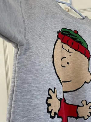Peanuts Christmas Charlie Brown Gray Sweater size XS thumbnail 5