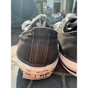 Converse‎ Women's All Star Canvas Shoes Sz 8 Sneakers Casual Shoes Walking Shoe thumbnail 5