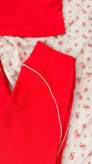 Alo WILO Anthropologie The Label Sports Bra Set thumbnail 5