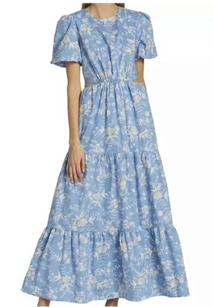 Wayf Plaza Floral Cut-Out Tiered Maxi Dress Size Small Blue and White thumbnail 1