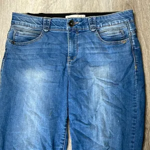 Democracy Artisan Crafted Jeans Size 14 thumbnail 4