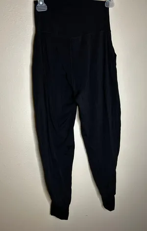 Aerie Joggers thumbnail 6