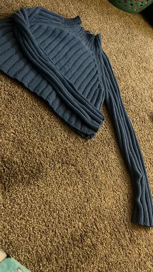 American Eagle Cropped Sweater thumbnail 2
