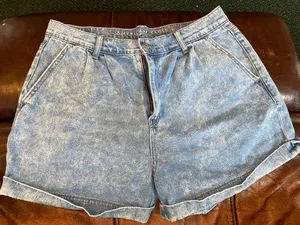 American Eagle Denim Shorts thumbnail 1