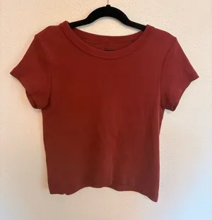 Brandy Melville Rust Short Sleeve Crewneck Crop Top thumbnail 1