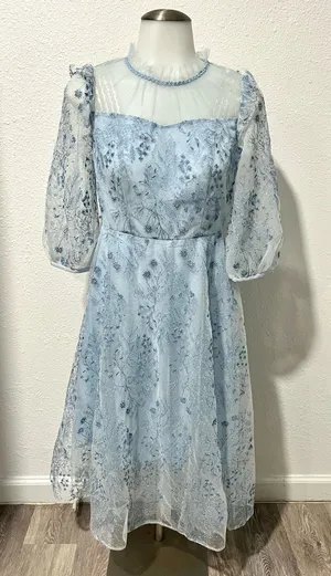 NWT Goelia Blue See-Through Mess Embroidered Dress Size 4 (Small) thumbnail 1