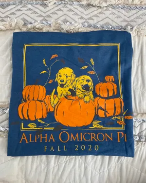Alpha Omicron Pi Shirt (sorority) Size M thumbnail 3