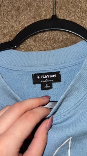 Playboy x PacSun Baby Blue Crewneck Sweatshirt Size Small thumbnail 2