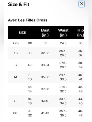 AVEC LES FILLES Bustier Bodice Gingham Midi Dress thumbnail 5