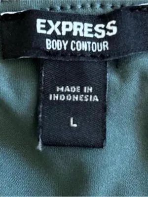 Express Sleeveless Scoop Bodysuit - Sage Green thumbnail 2