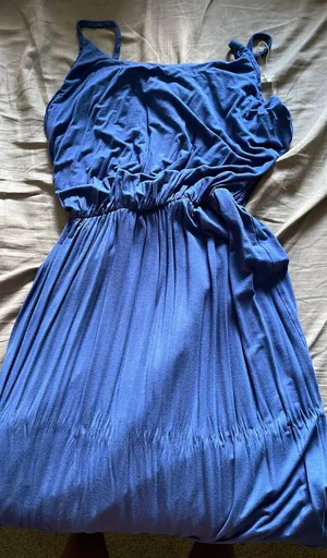 Olivia Ray Dress Blue Size L thumbnail 1
