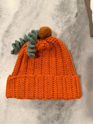 Handmade Crochet Pumpkin Beanie Orange Ribbed Hat Green Vine Pom Pom Fall thumbnail 6
