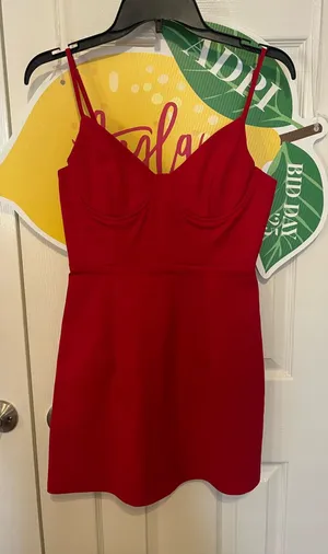 Princess Polly Red Mini Dress thumbnail 1